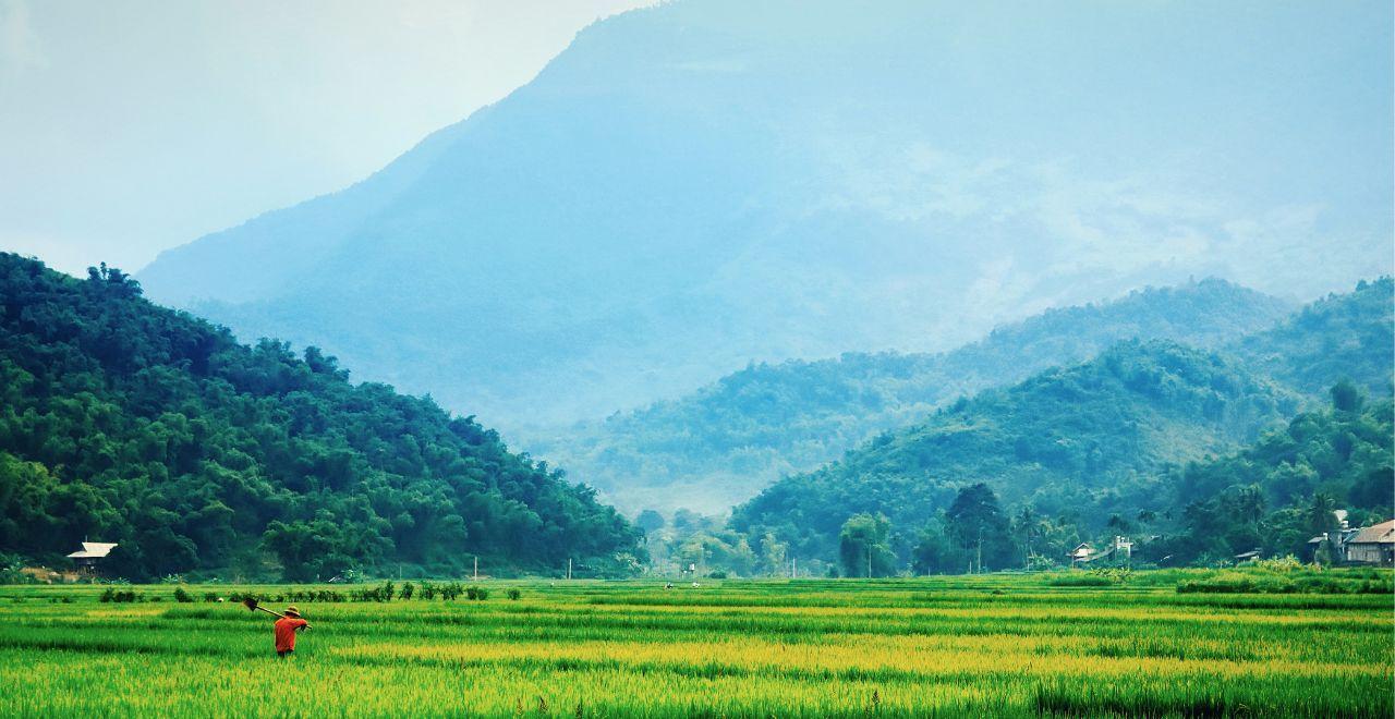 Stunning rural landscape in Vietnam with a lone figure in red amidst lush rice fields, inspiring exploration by bike