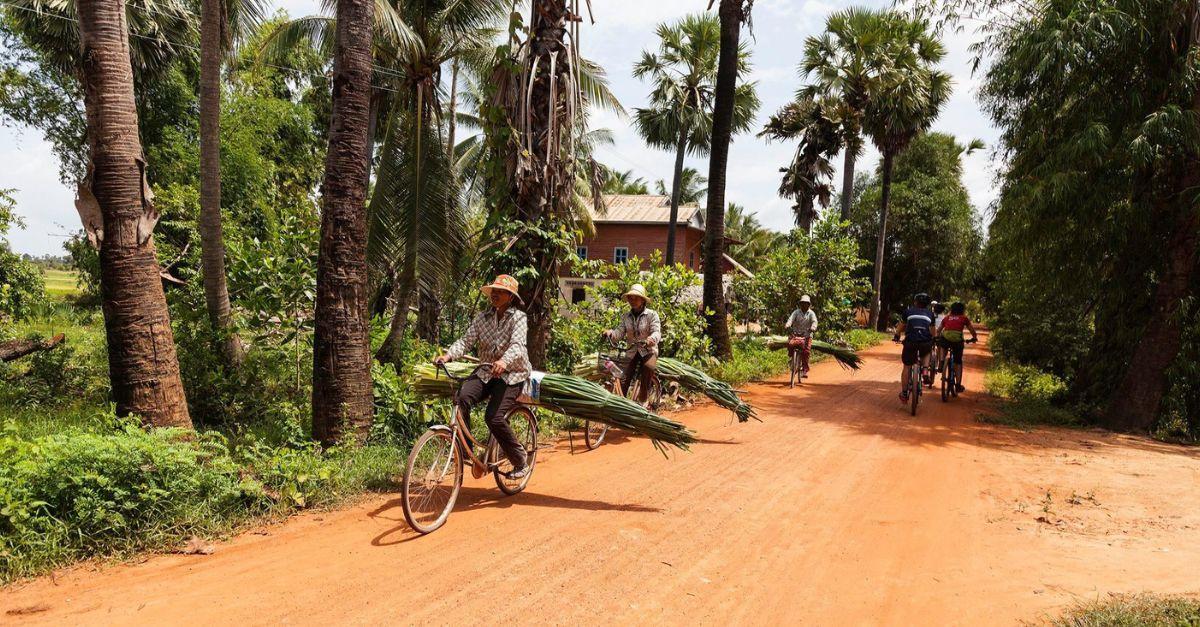 Cyclists and local residents with bicycles on a rural dirt road lined with palm trees in a lush tropical landscape