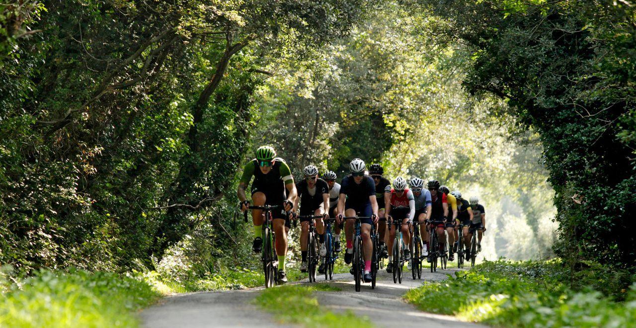 Group of cyclists riding through a forested path