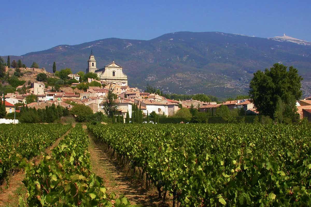 A picturesque view of Bedoin, with lush vineyards in the foreground and Mont Ventoux rising majestically in the background, under a clear blue sky.
