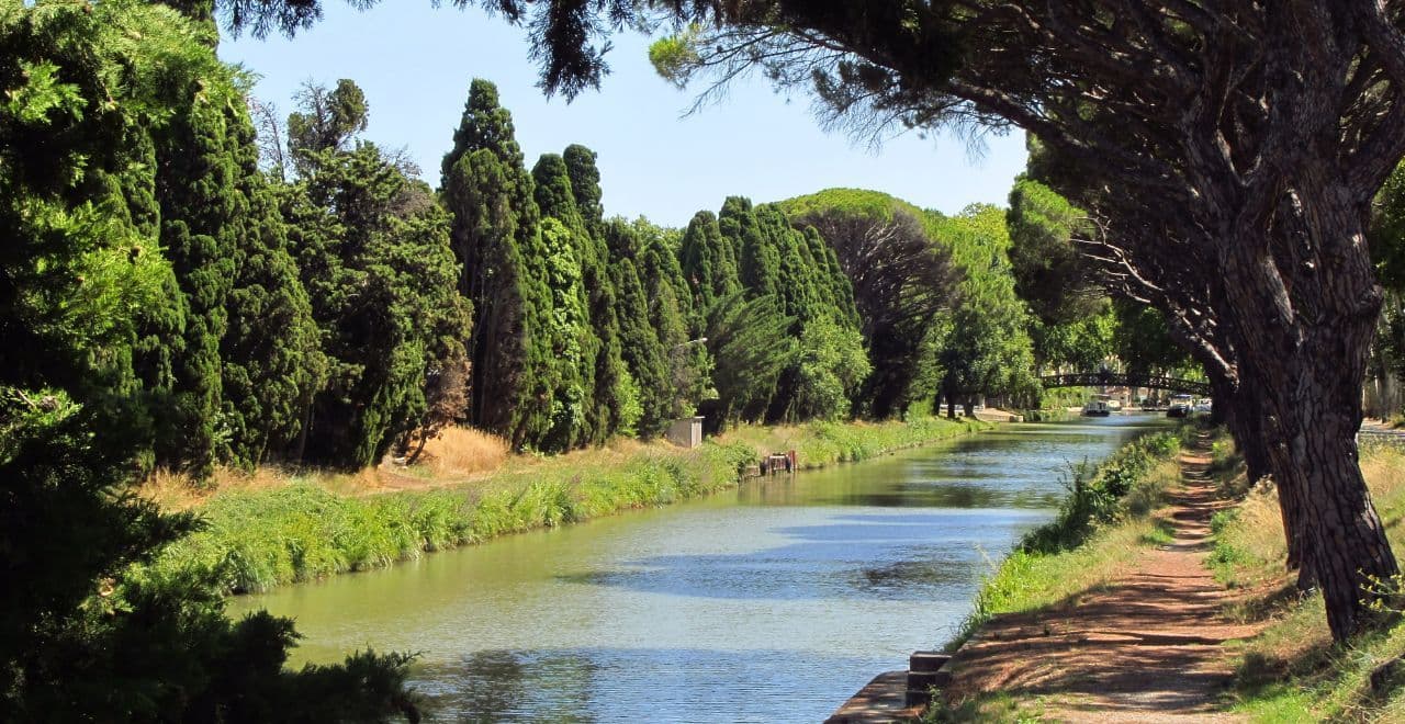 Canal du Midi lined with tall green trees.