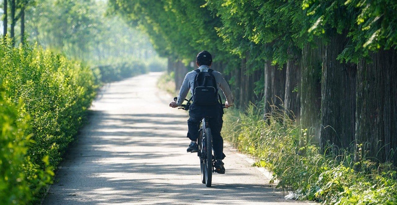 Man cycling on a tree-lined path in a serene park.