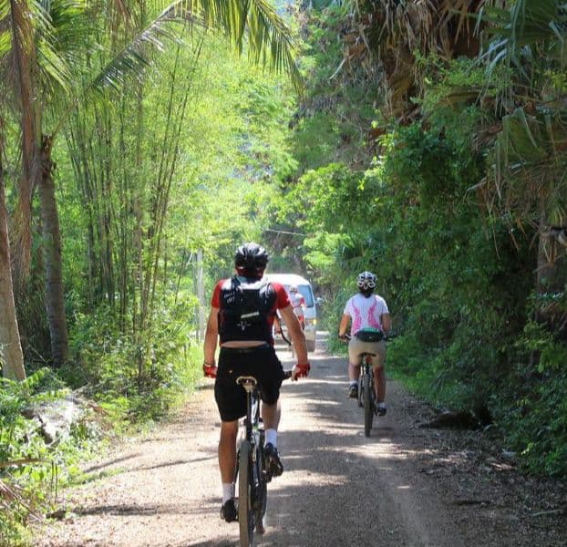 Cyclists exploring the ancient temple ruins of Angkor Wat, with lush green trees and a clear sky