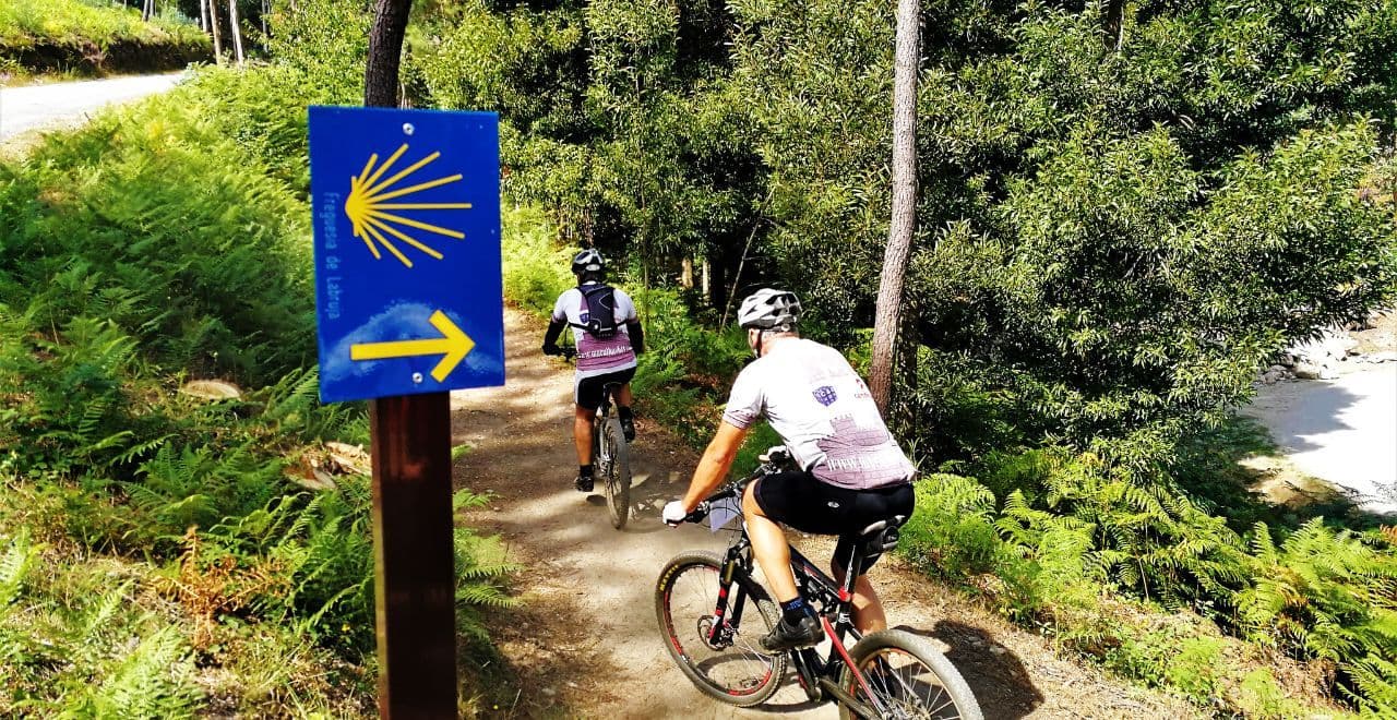 Solo cyclist touring forest gravel path with panniers on Camino cycling route