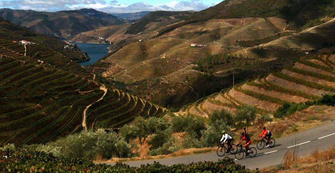 Cyclists biking through terraced vineyards with river and hills in Douro Valley