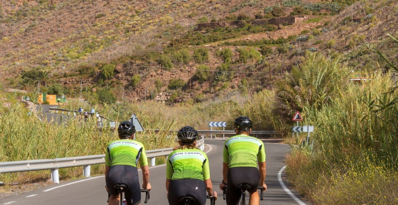 Three cyclists riding on a road surrounded by lush greenery.