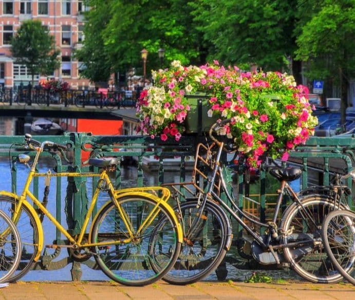 Colorful bicycles chained to a bridge railing over a canal in Amsterdam, adorned with vibrant flower baskets