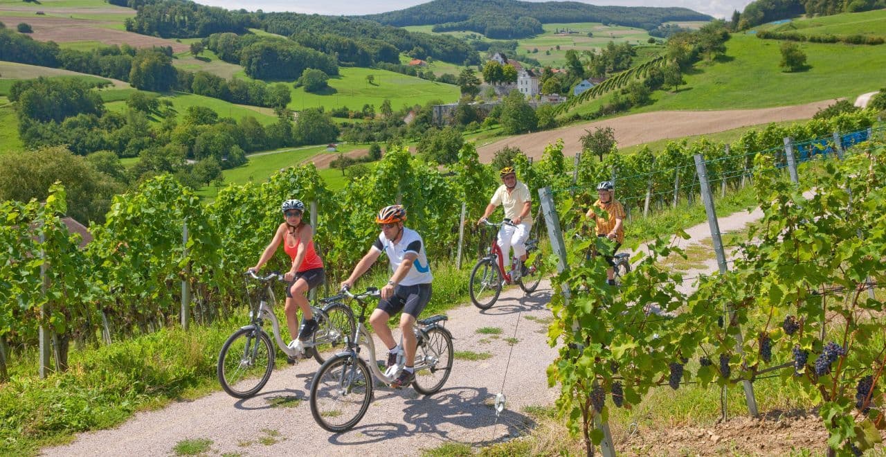 Family of cyclists riding on a scenic vineyard trail with lush greenery and rolling hills