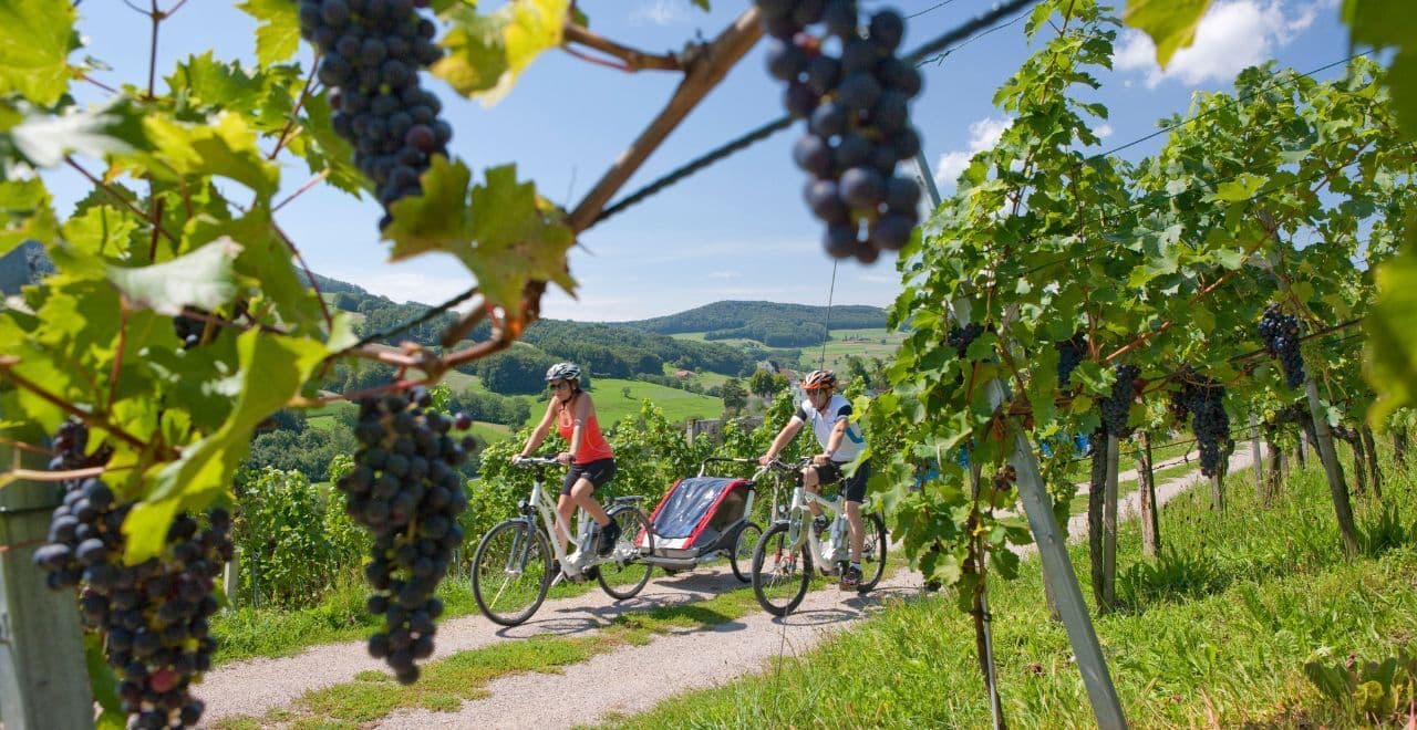 Italy image with Three cyclists taking photos with their phones, overlooking a scenic lake and mountains
