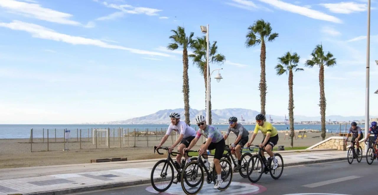 Group of cyclists riding along a palm-lined beach promenade with mountains in the background