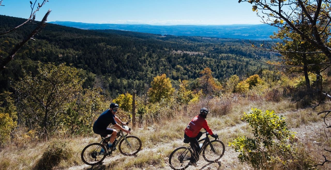 Two cyclists descending mountain trail with panoramic forest views