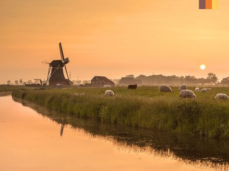 The Green heartland of Holland 