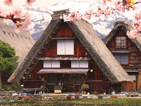 Japanese houses 