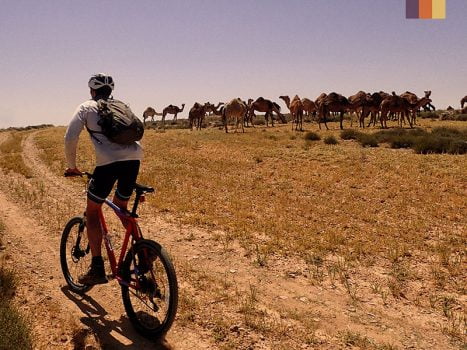 , Cycling Holidays in the Middle East