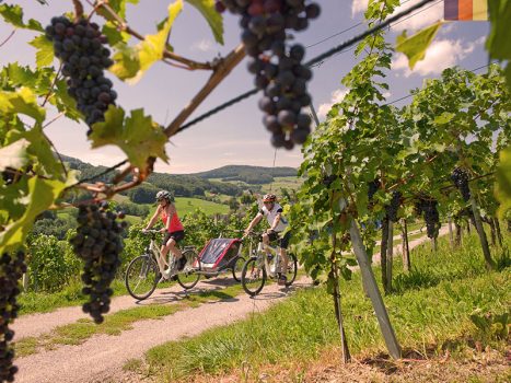 , Cycling Holidays in Italy