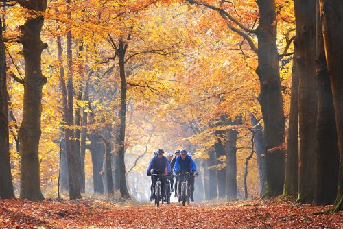 , Cycling Holidays in Belgium