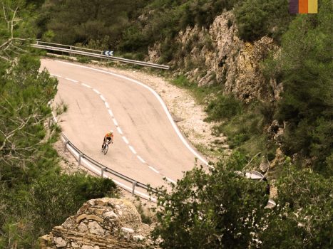 Road cyclist in Girona 