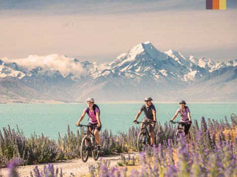 cycling in new zealand