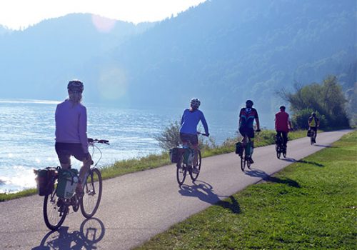Group of cyclists cyling along a path next to the Danube in Austria