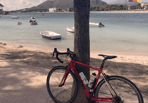 a road cycling bike against a tree with the bay of alcudia behind it