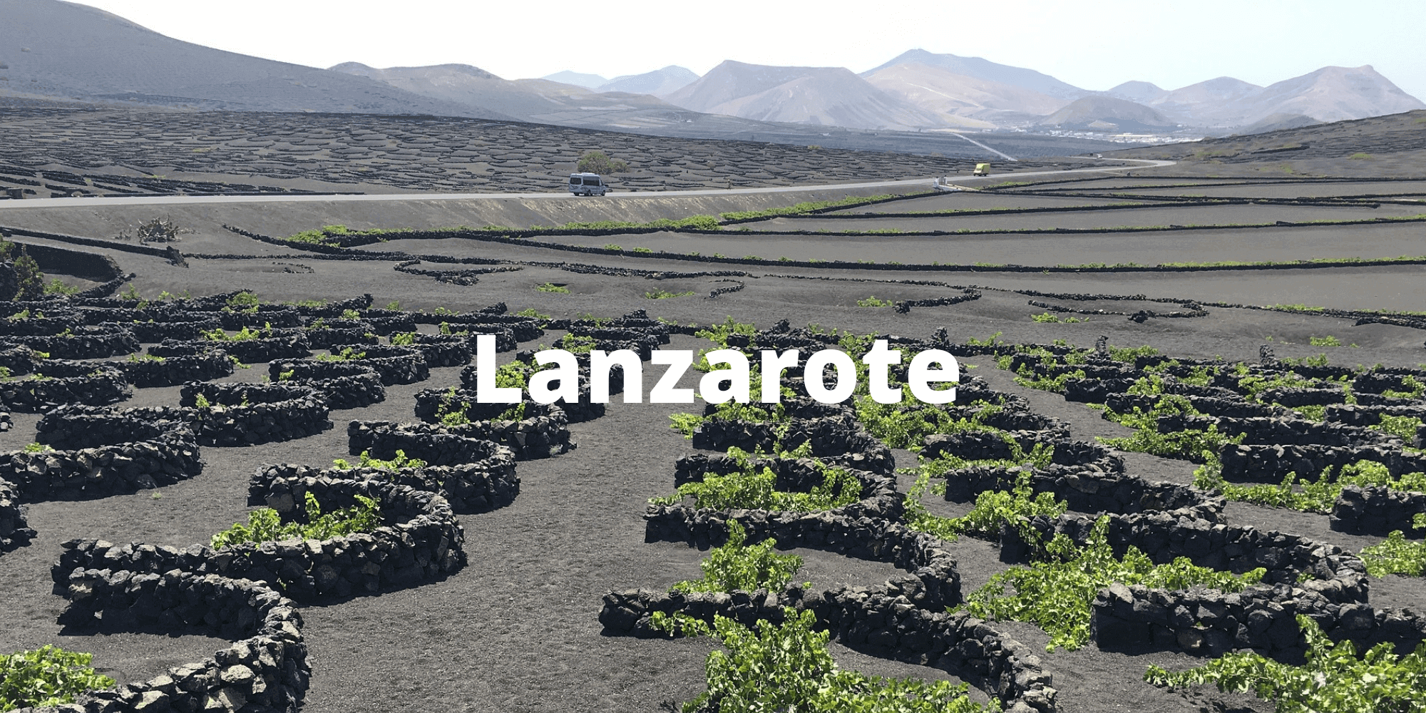 Lanzarote's vineyards in La Geria