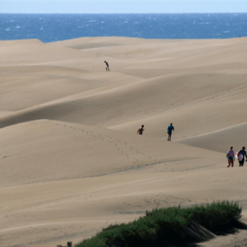 Maspalomas Sand Dunes (2)