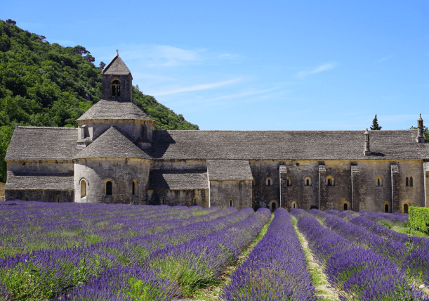 The abbaye de sénanque in Provence