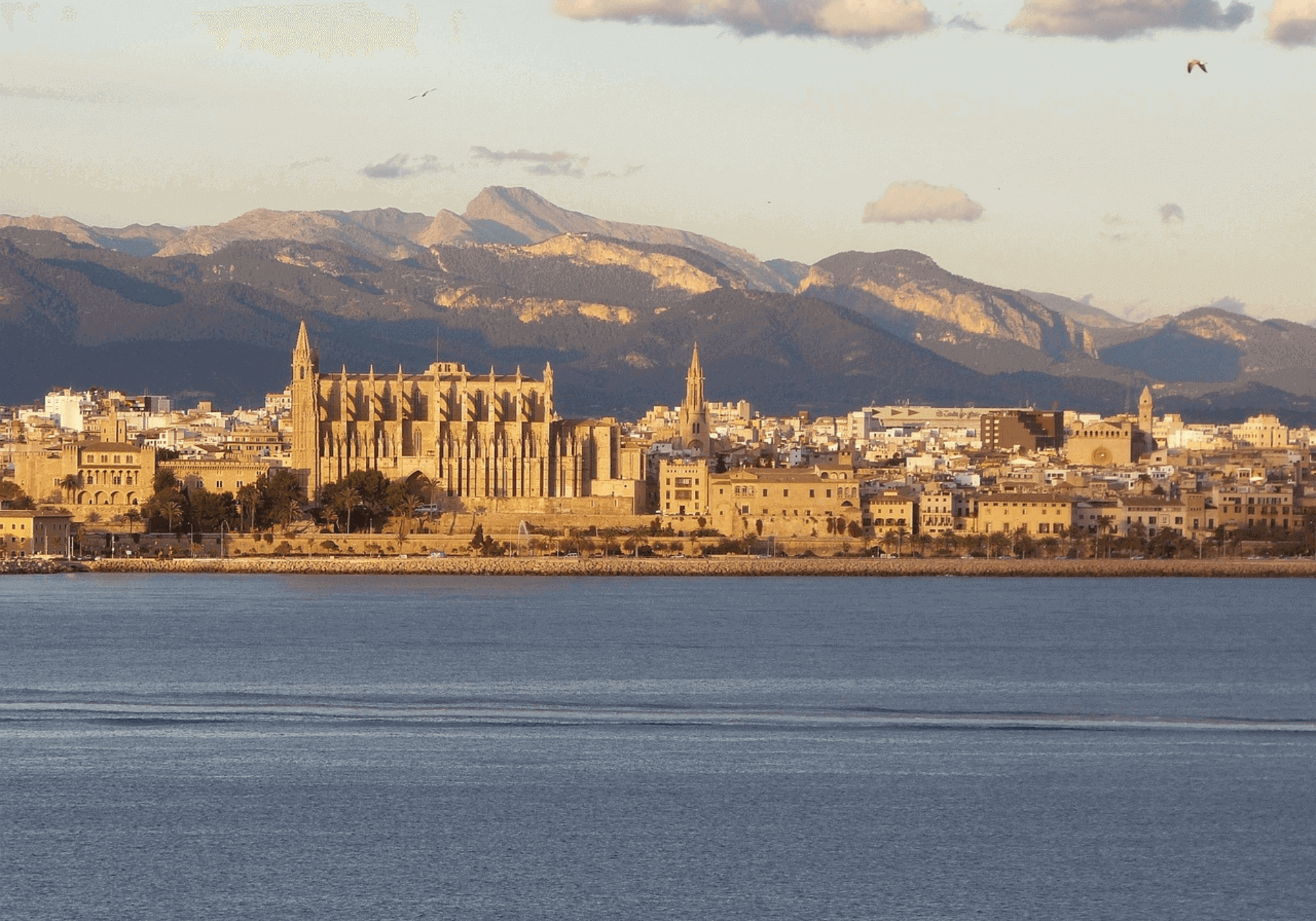 view of palma cathedral with the mountains in the background