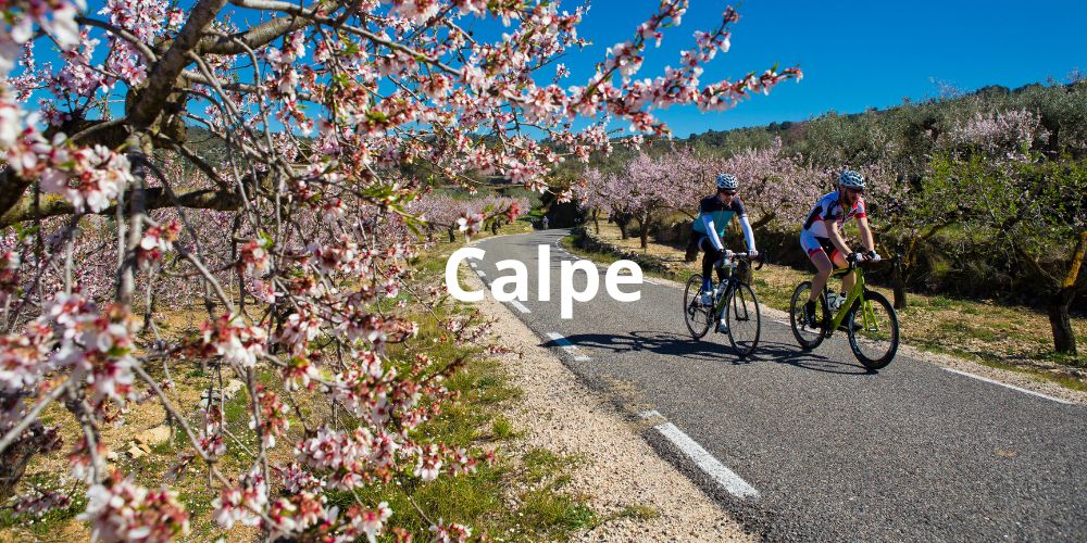 2 cyclists riding on a single road with pink blossom trees in the background